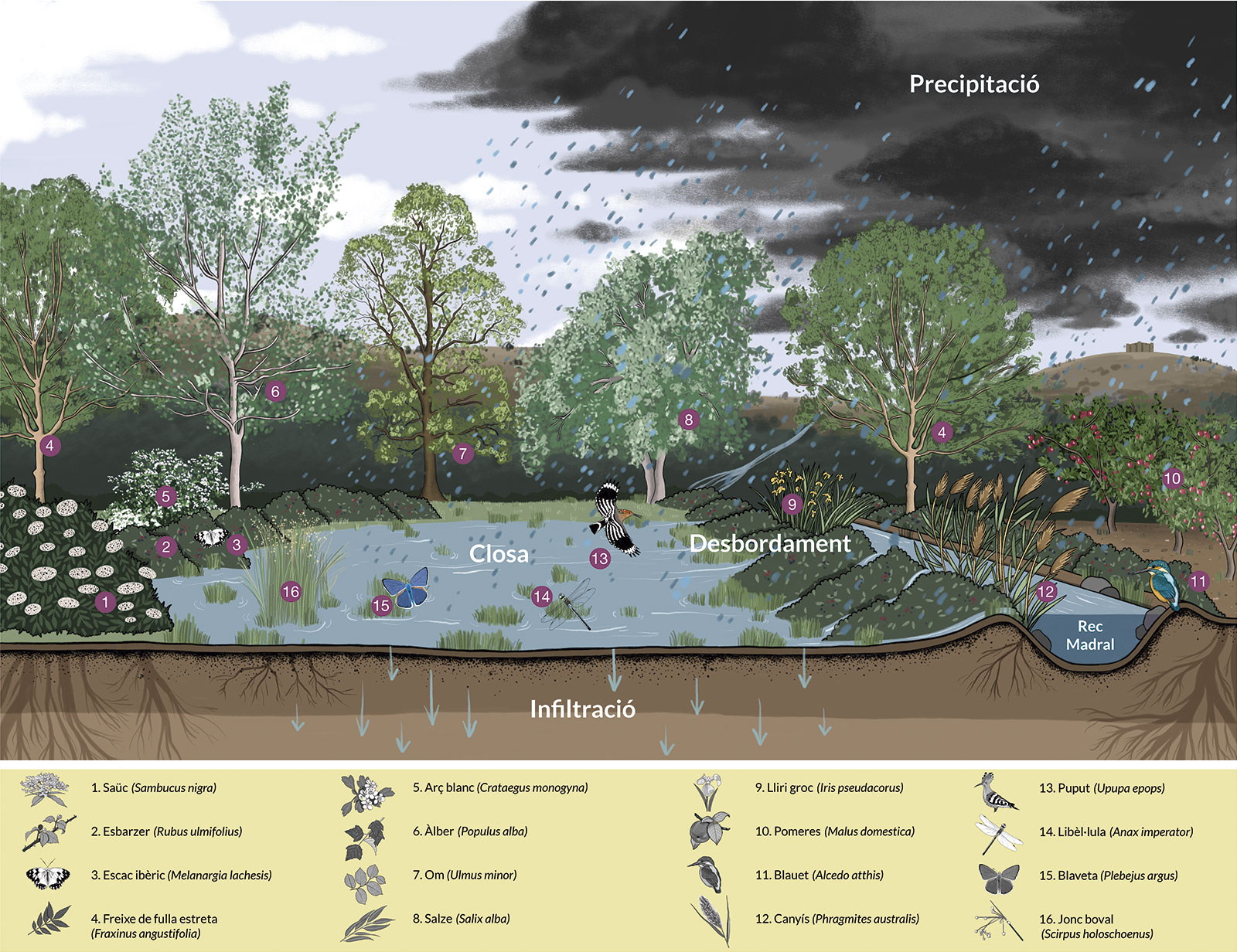 panell_hidronet_closes